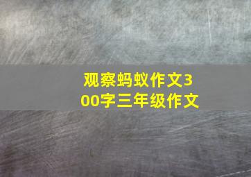 观察蚂蚁作文300字三年级作文