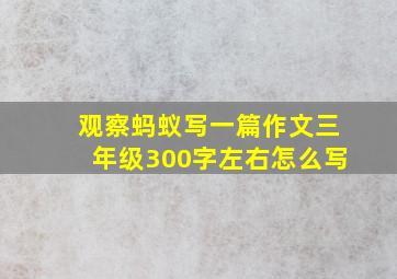 观察蚂蚁写一篇作文三年级300字左右怎么写