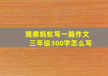 观察蚂蚁写一篇作文三年级300字怎么写