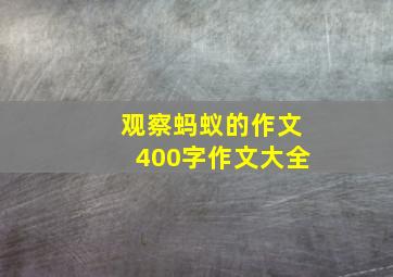 观察蚂蚁的作文400字作文大全