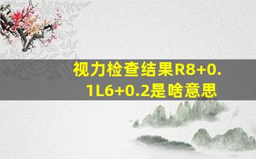 视力检查结果R8+0.1L6+0.2是啥意思