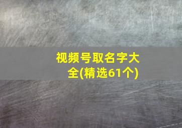 视频号取名字大全(精选61个)