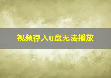 视频存入u盘无法播放