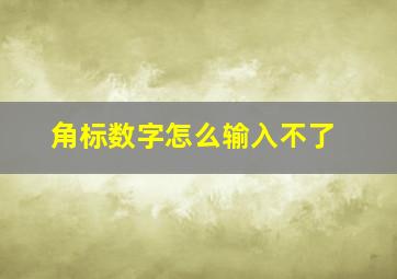 角标数字怎么输入不了