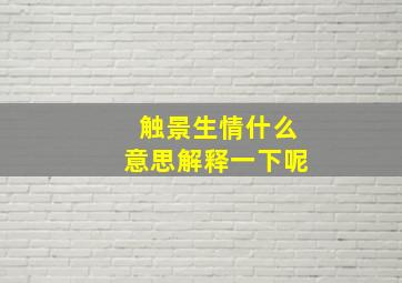 触景生情什么意思解释一下呢