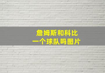 詹姆斯和科比一个球队吗图片