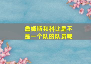 詹姆斯和科比是不是一个队的队员呢