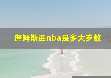 詹姆斯进nba是多大岁数