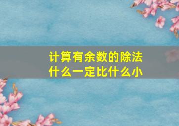 计算有余数的除法什么一定比什么小