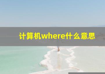 计算机where什么意思