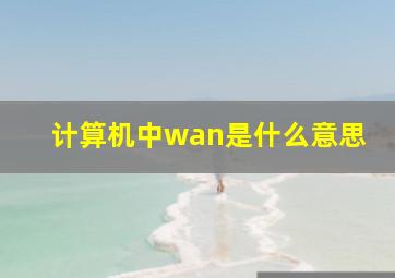 计算机中wan是什么意思