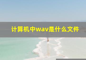 计算机中wav是什么文件