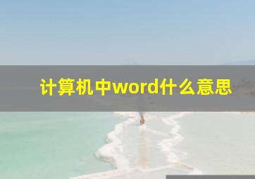 计算机中word什么意思