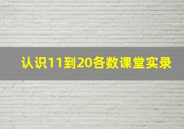 认识11到20各数课堂实录