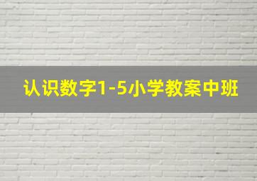 认识数字1-5小学教案中班