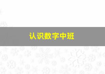 认识数字中班