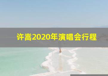 许嵩2020年演唱会行程