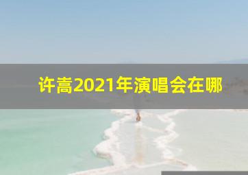 许嵩2021年演唱会在哪