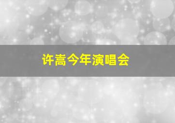 许嵩今年演唱会