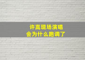 许嵩现场演唱会为什么跑调了