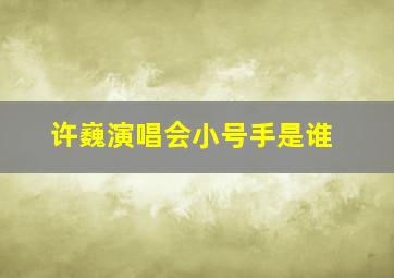 许巍演唱会小号手是谁