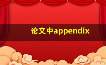 论文中appendix