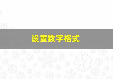 设置数字格式