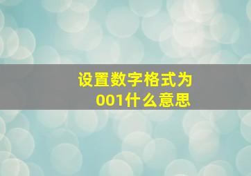 设置数字格式为001什么意思