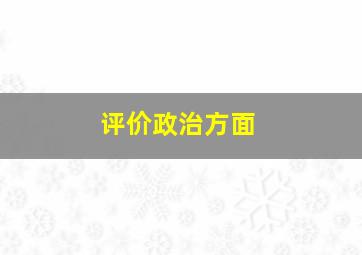 评价政治方面