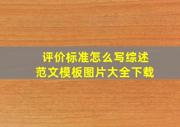 评价标准怎么写综述范文模板图片大全下载