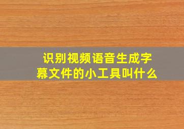 识别视频语音生成字幕文件的小工具叫什么