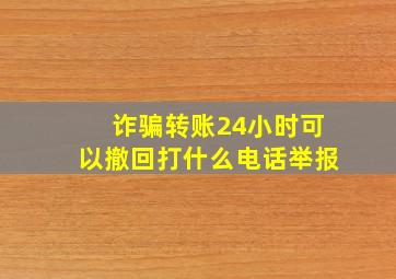 诈骗转账24小时可以撤回打什么电话举报