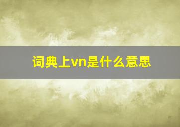 词典上vn是什么意思