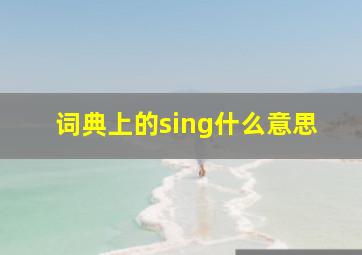 词典上的sing什么意思