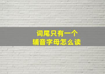 词尾只有一个辅音字母怎么读