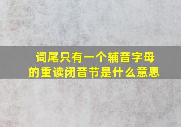 词尾只有一个辅音字母的重读闭音节是什么意思