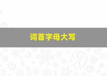 词首字母大写