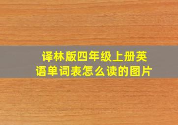 译林版四年级上册英语单词表怎么读的图片