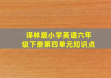 译林版小学英语六年级下册第四单元知识点