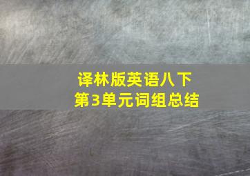 译林版英语八下第3单元词组总结