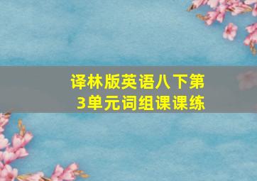 译林版英语八下第3单元词组课课练