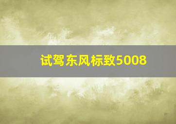 试驾东风标致5008