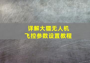 详解大疆无人机飞控参数设置教程