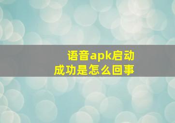 语音apk启动成功是怎么回事