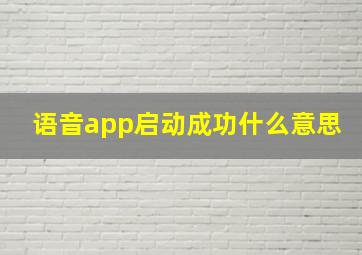 语音app启动成功什么意思