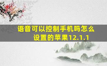 语音可以控制手机吗怎么设置的苹果12.1.1