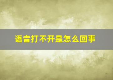 语音打不开是怎么回事