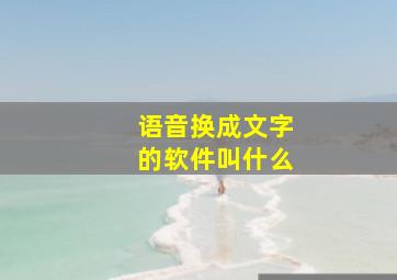 语音换成文字的软件叫什么