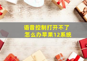 语音控制打开不了怎么办苹果12系统