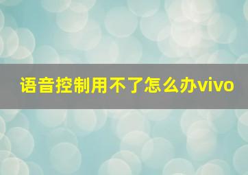 语音控制用不了怎么办vivo